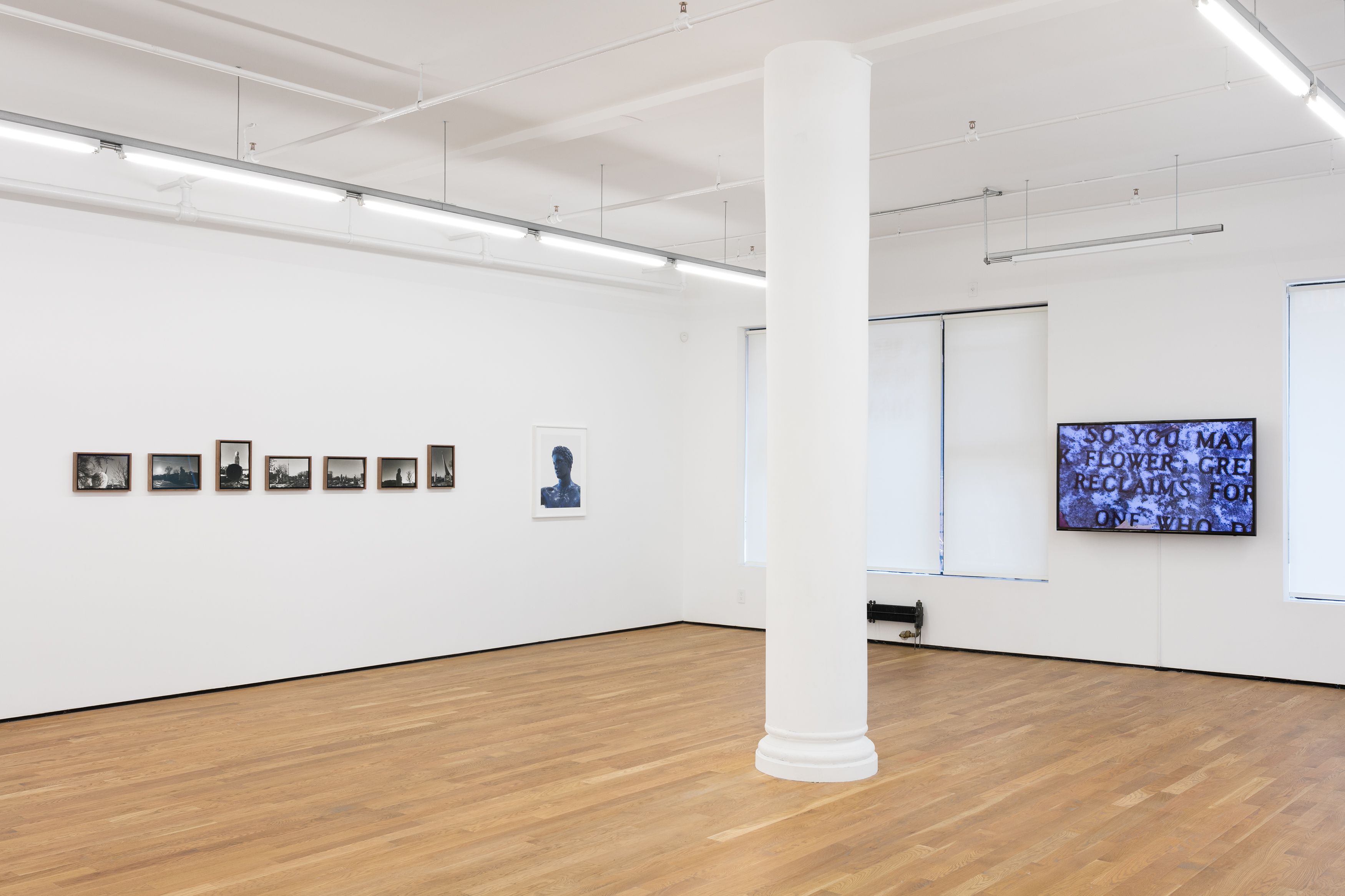 A World of Statues, 2019, installation view, Foxy Production, New York