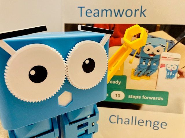 Teamwork Challenge with Marty