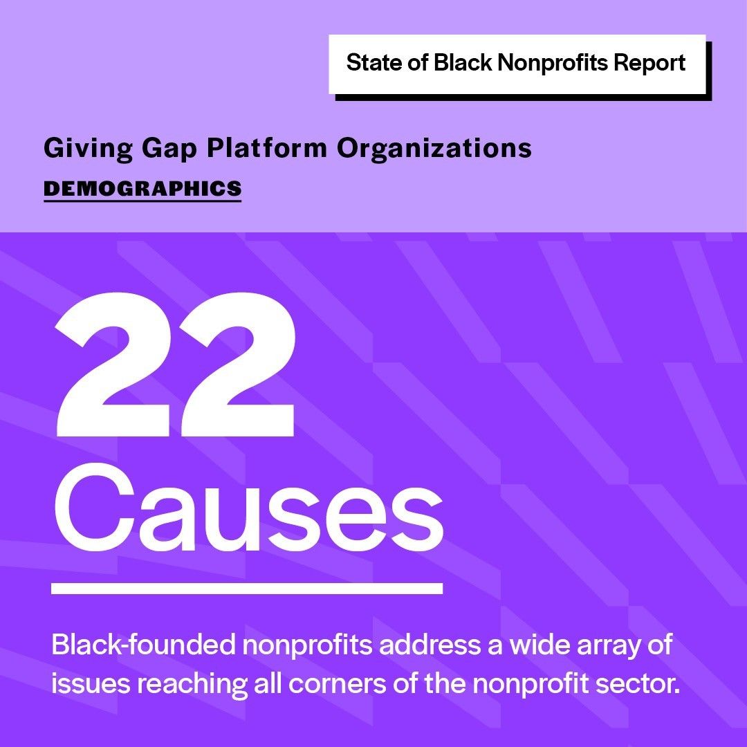 Giving Gap Platform covers 22 causes with Black-founded nonprofits, addressing a wide array of issues reaching all corners of the nonprofit sector.