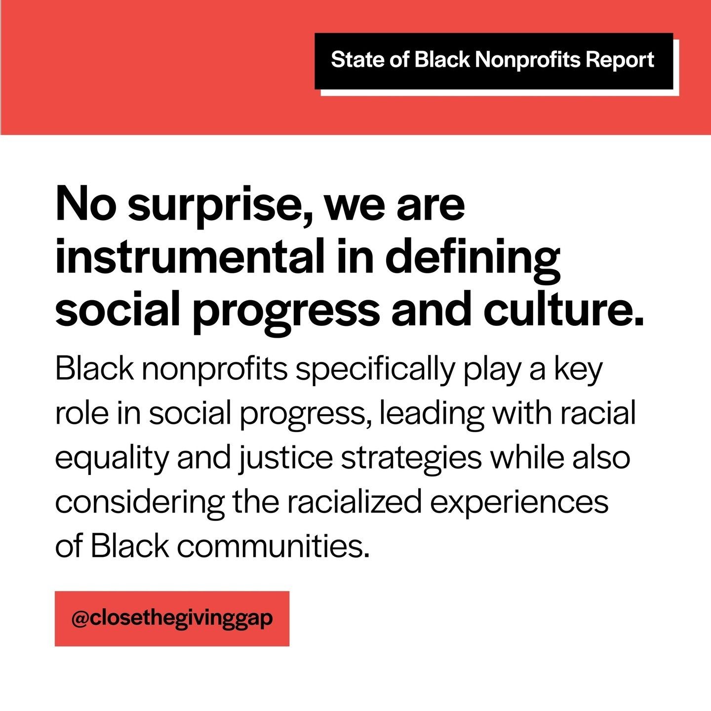 No surprise, we are instrumental in defining social progress and culture. Black nonprofits are pivotal agents of social progress, leading the charge for racial equality and justice. They address the specific needs and challenges of Black communities, driving transformative change and advocating for inclusivity and equity in society.