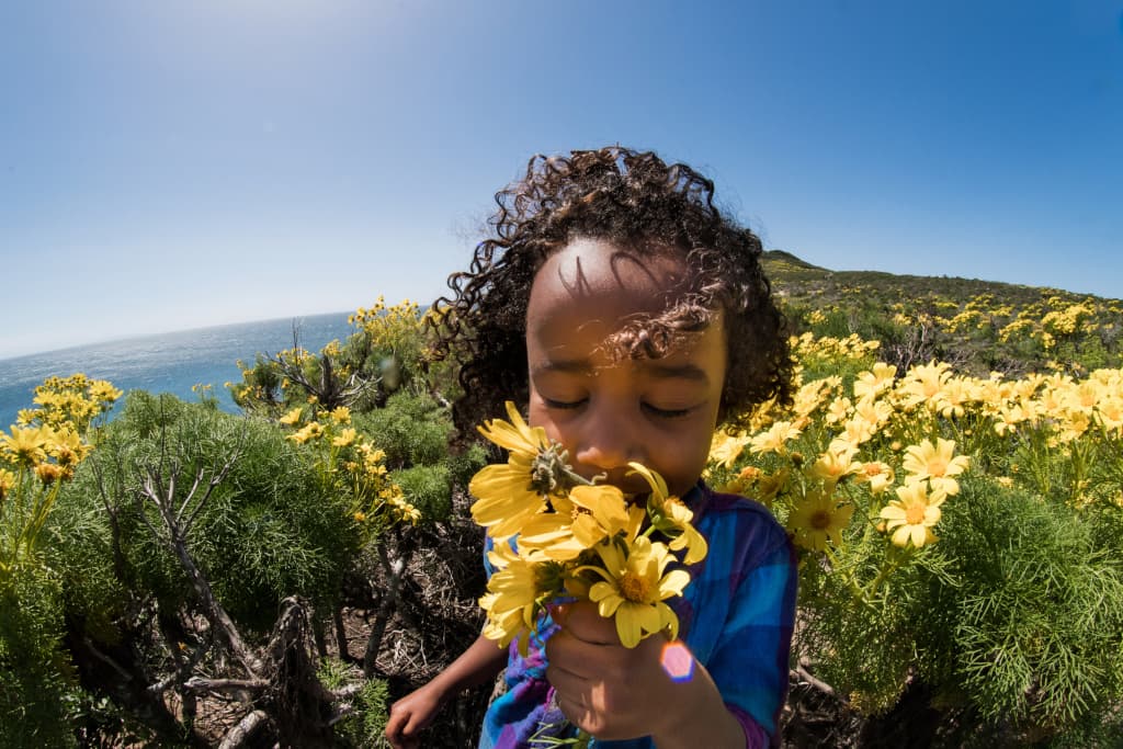 A young Black girls sniffs the bundle of yellow flowers she has in her hand.