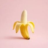 Erekcijos gerinimo programa