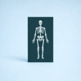 Siuntimas pas specialistą