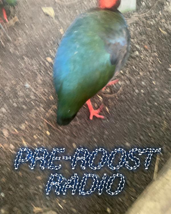 Pre-Roost Radio