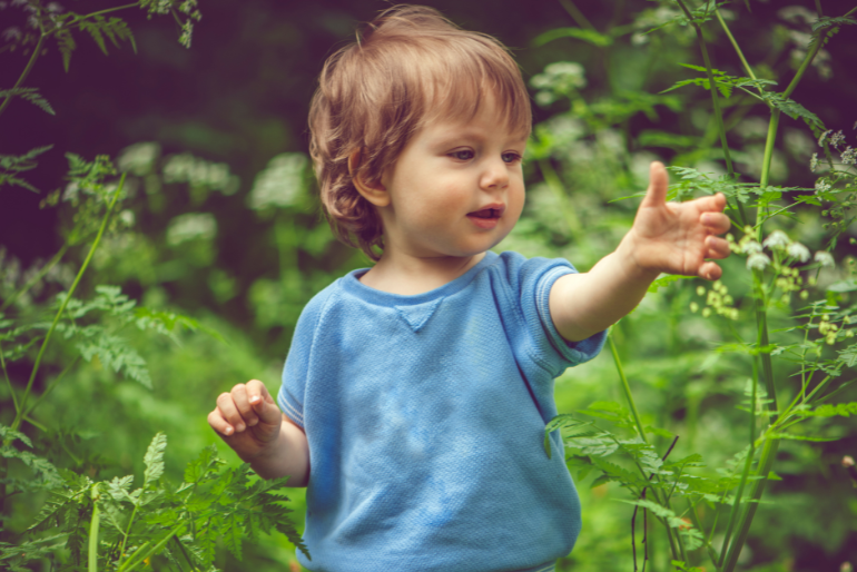 Five streams of action: early childhood responses to the war in Ukraine