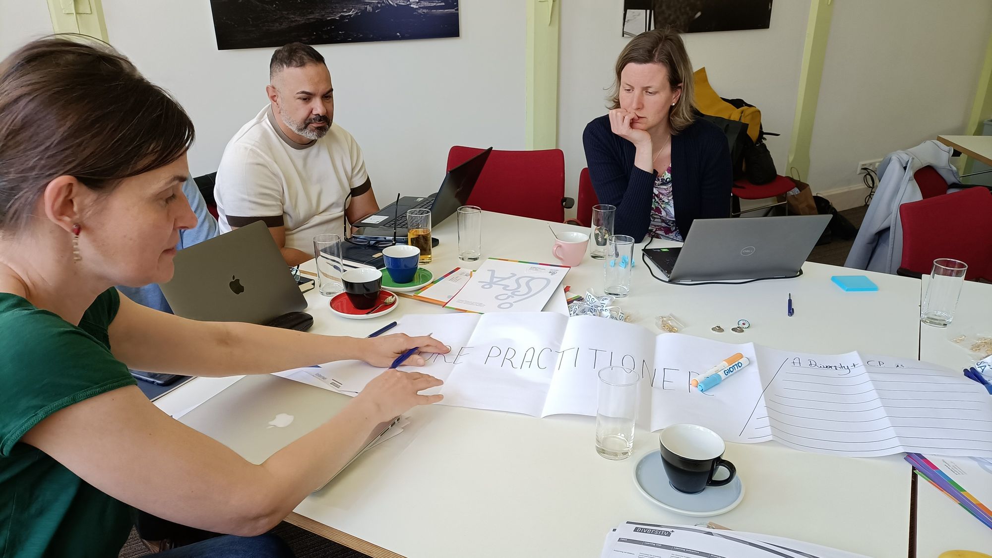 Diversity+ project meeting, Leiden