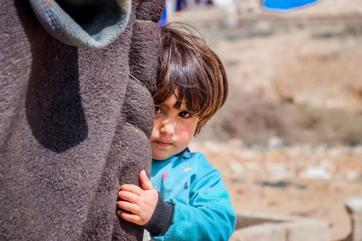 Emergency support to Roma families from Transcarpathia fleeing to Hungary