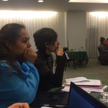 In their own words: reflections on ISSA Conference 2016