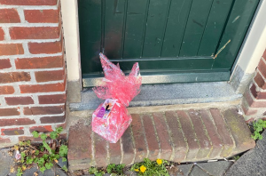 TOY for Inclusion Play Hubs respond to COVID-19: the Netherlands