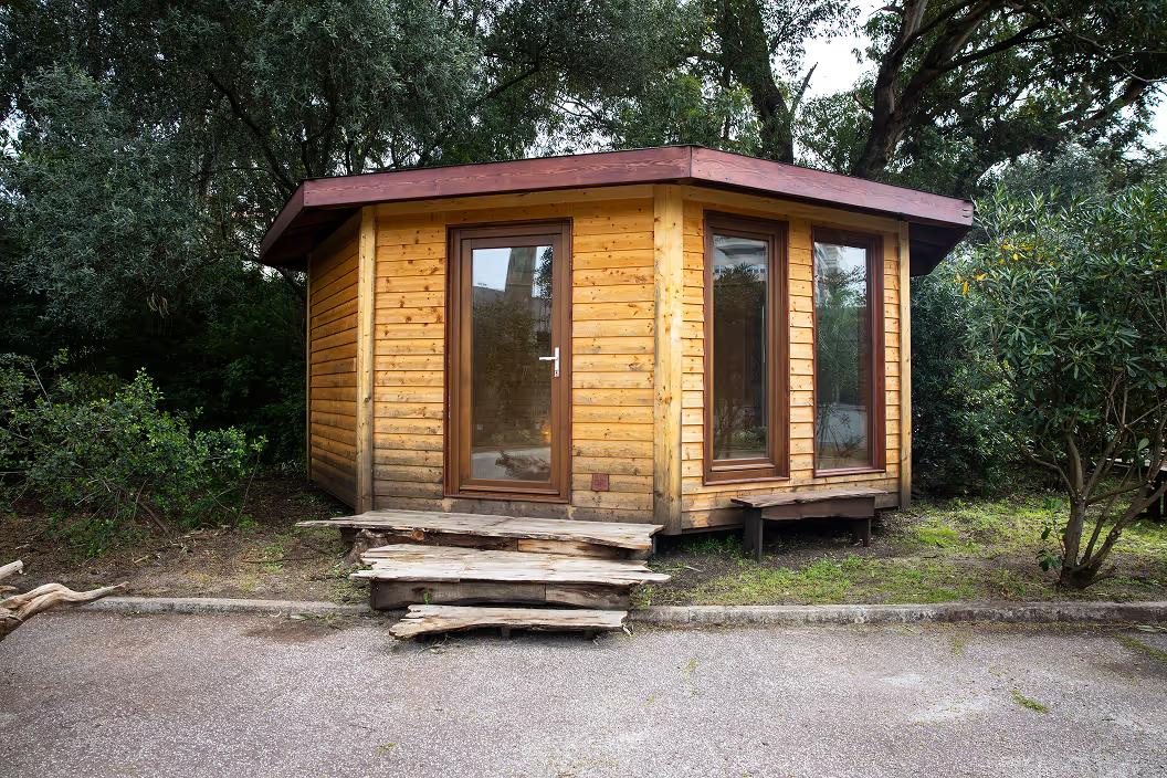 Small wooden cabin with large windows and rustic wooden steps surrounded by trees and greenery.