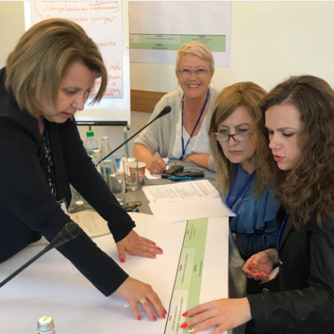 New User's Guide for the ECWI Needs Assessment Launched