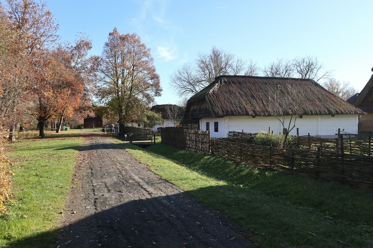 A village lane leading to a white thatched house in Hungary.
