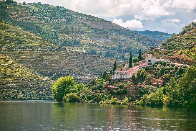 Terraced vineyards along a river valley