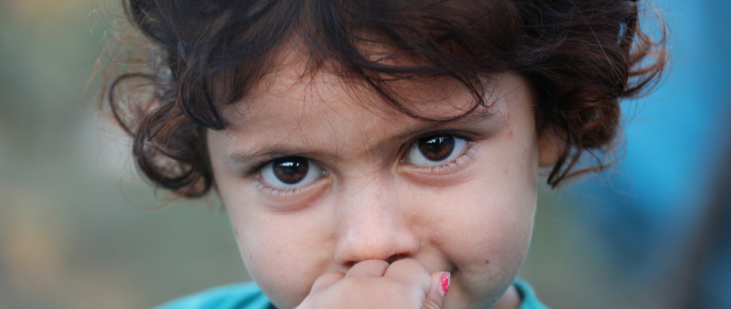Romani Early Years Network