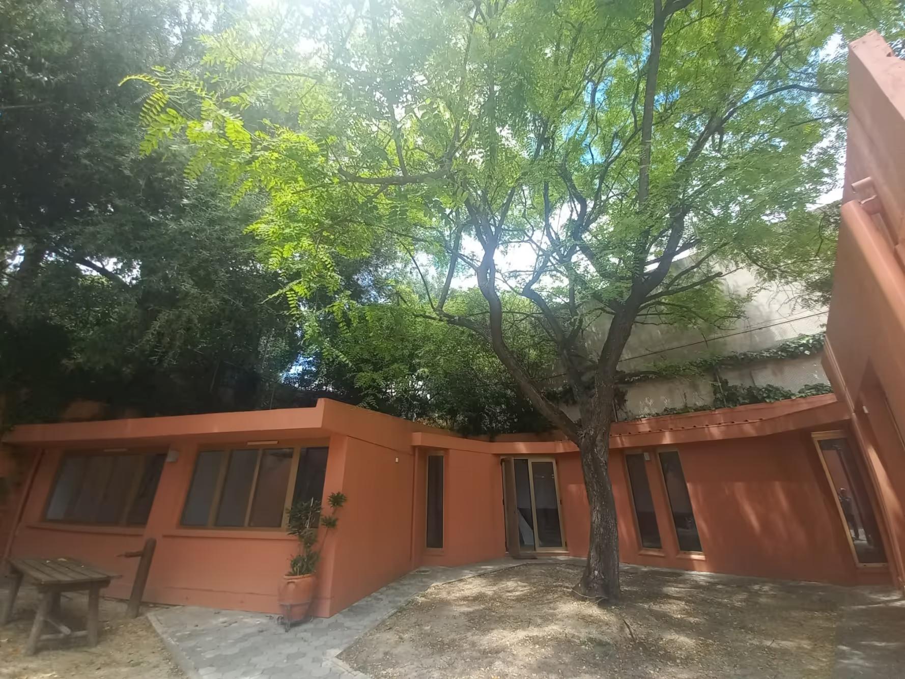 Orange stucco building with large windows around a courtyard with a tall tree and sunlight above.