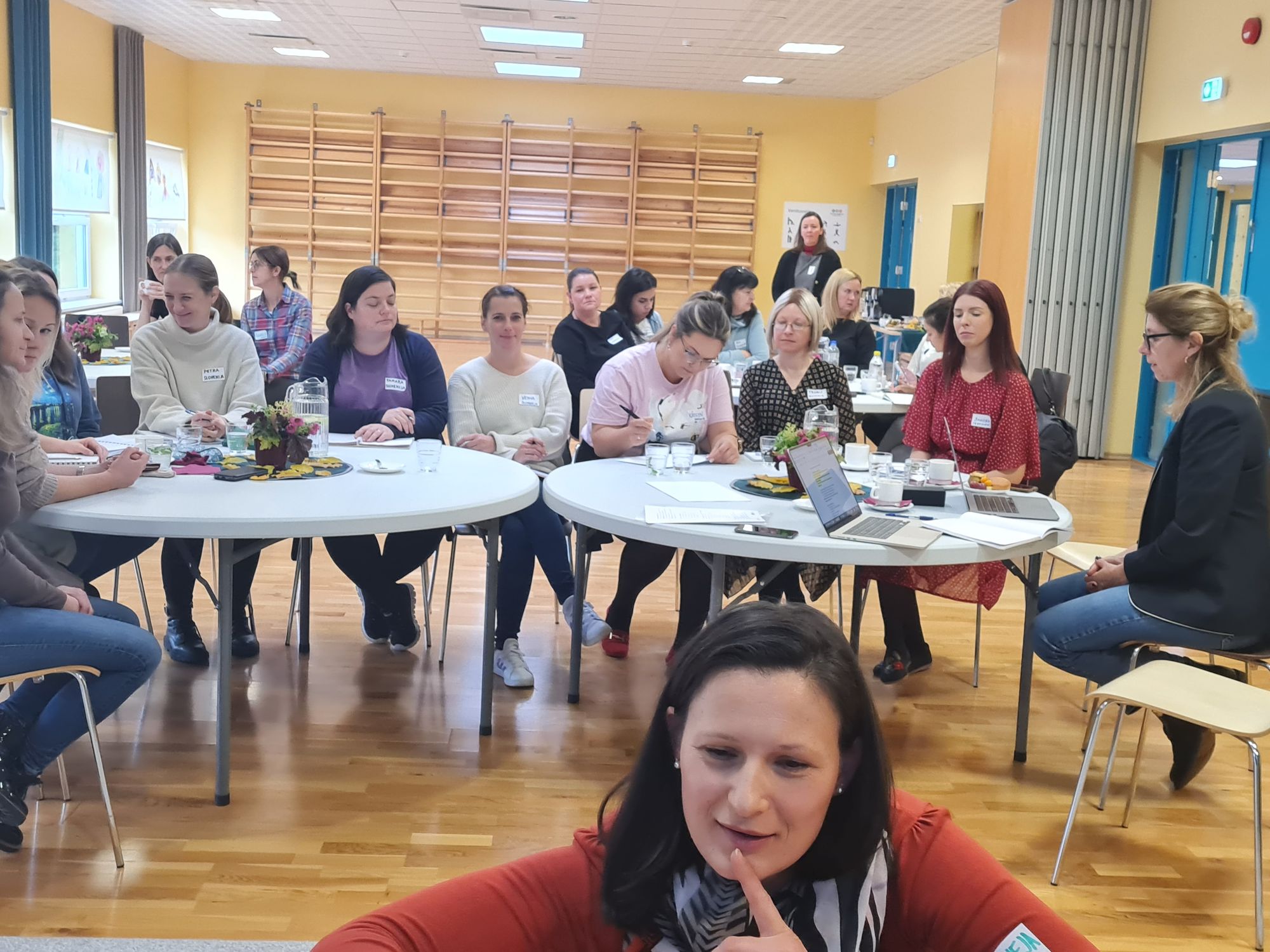Empowering Teacher Self-Learning Group Leaders Across Europe through Soft Skills Development