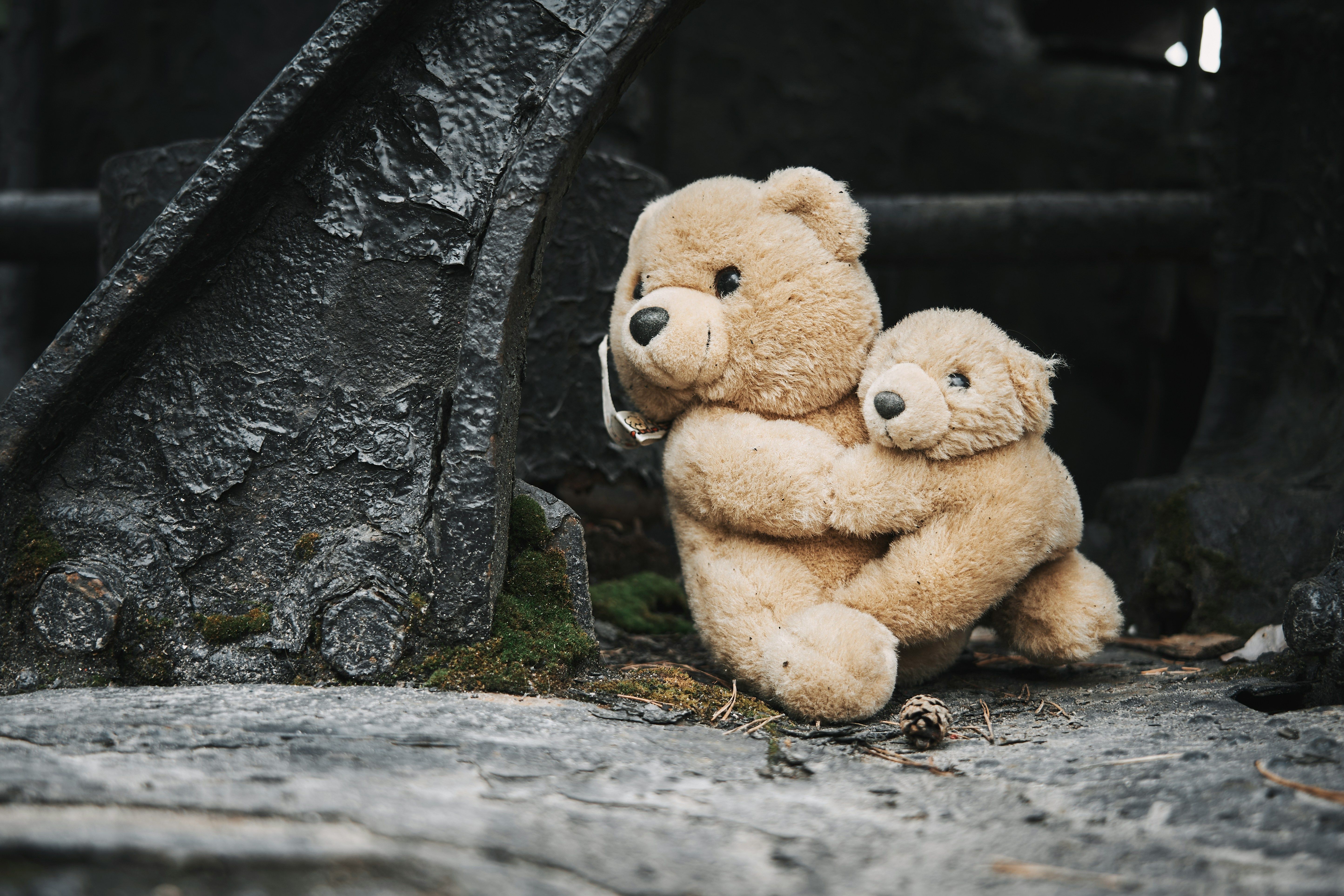 Two teddy bears sitting among debris
