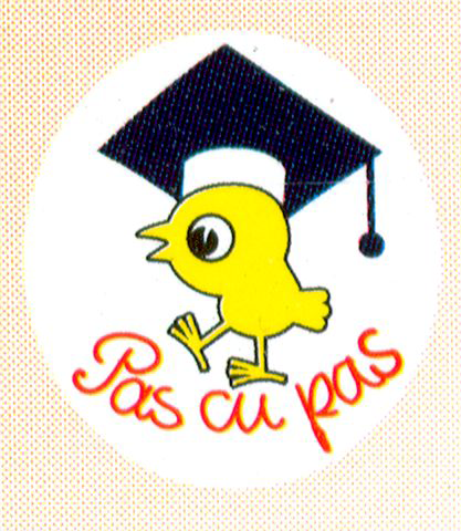 Step by Step Educational Program