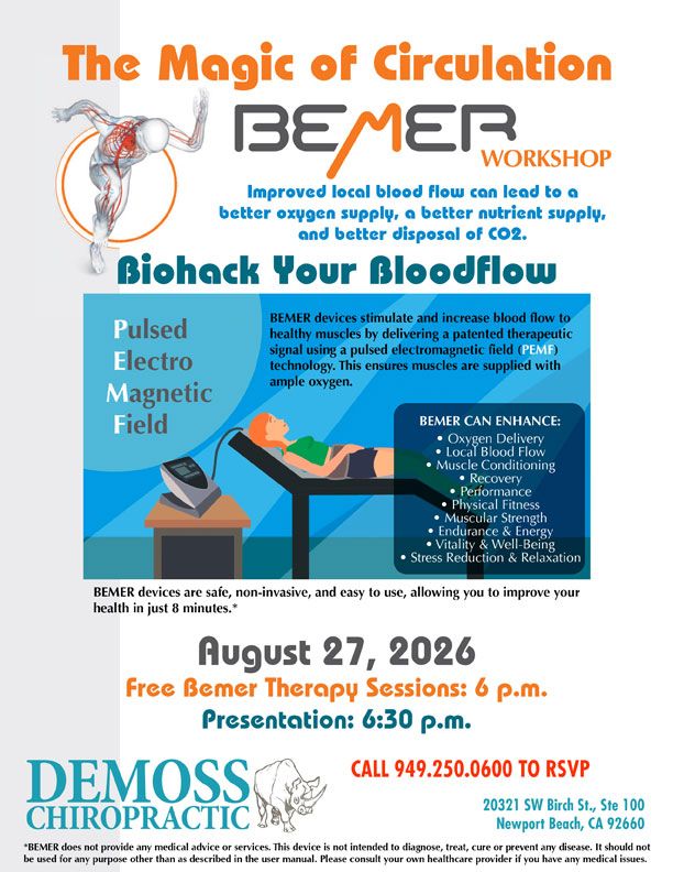 Bemer Workshop poster, Thursday 27 August