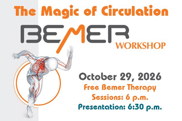BEMER Workshop poster, Thursday 29 October
