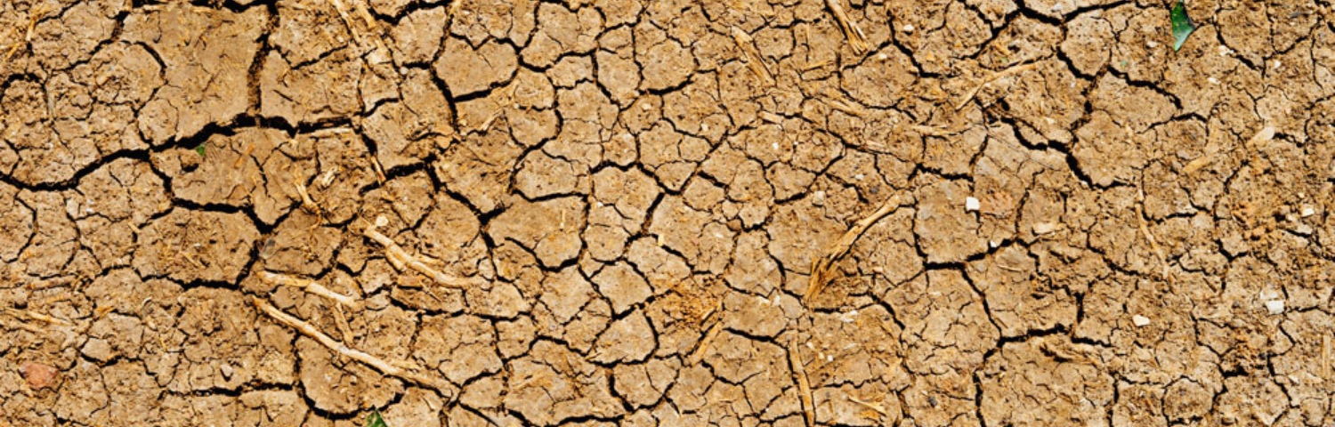Body Dehydration: How to Combat It?