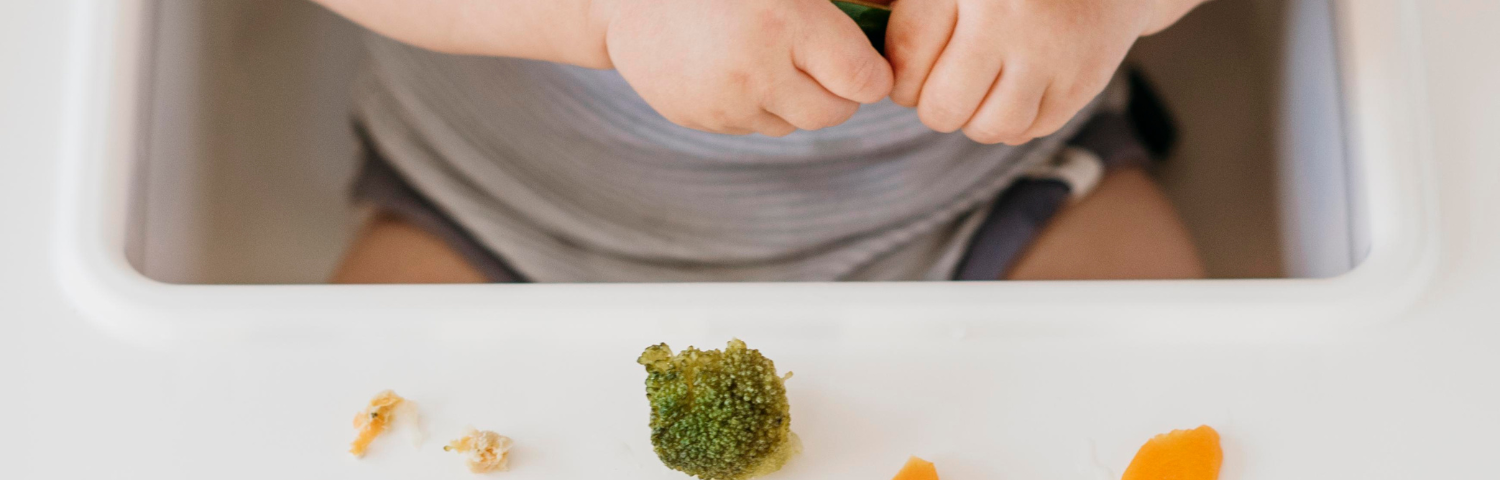 Everything you need to know about Baby Led Weaning