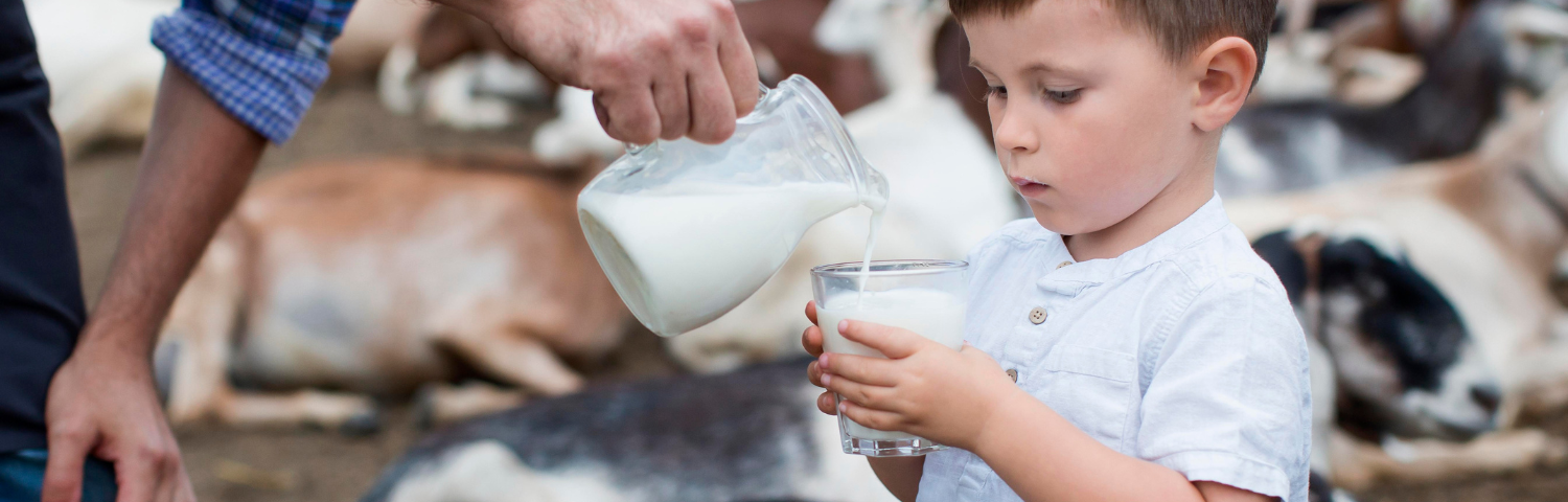 Goat's Milk for Babies