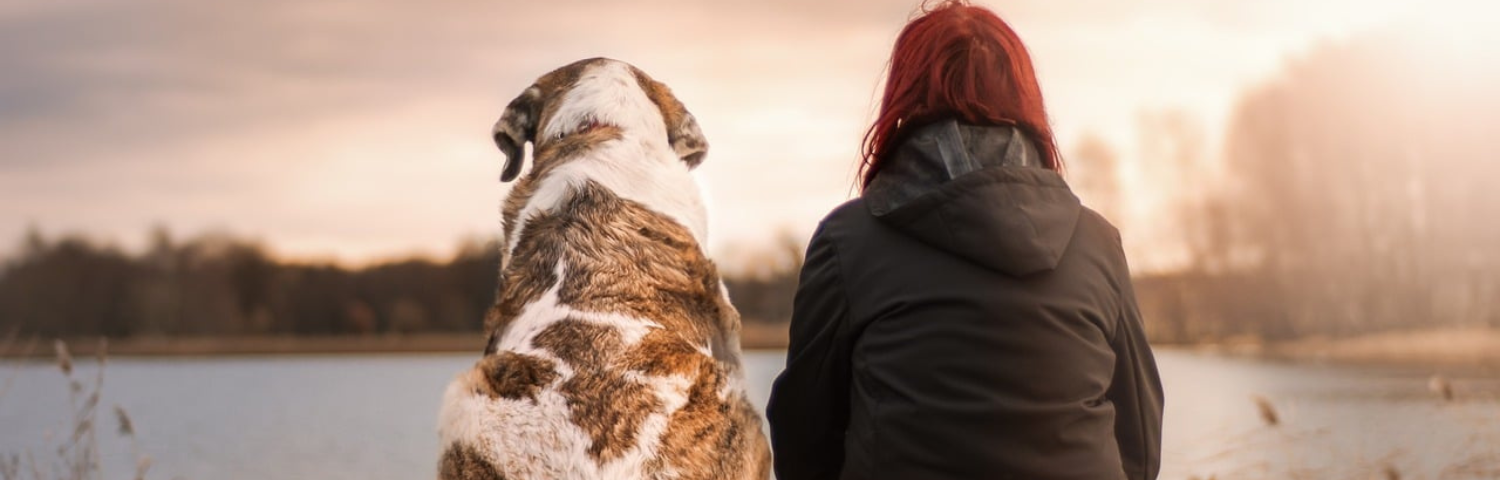 What You Need to Know About Kidney Failure in Dogs