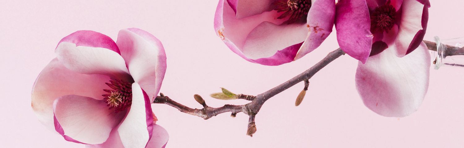 Discover Nuxe Prodigieuse Florale