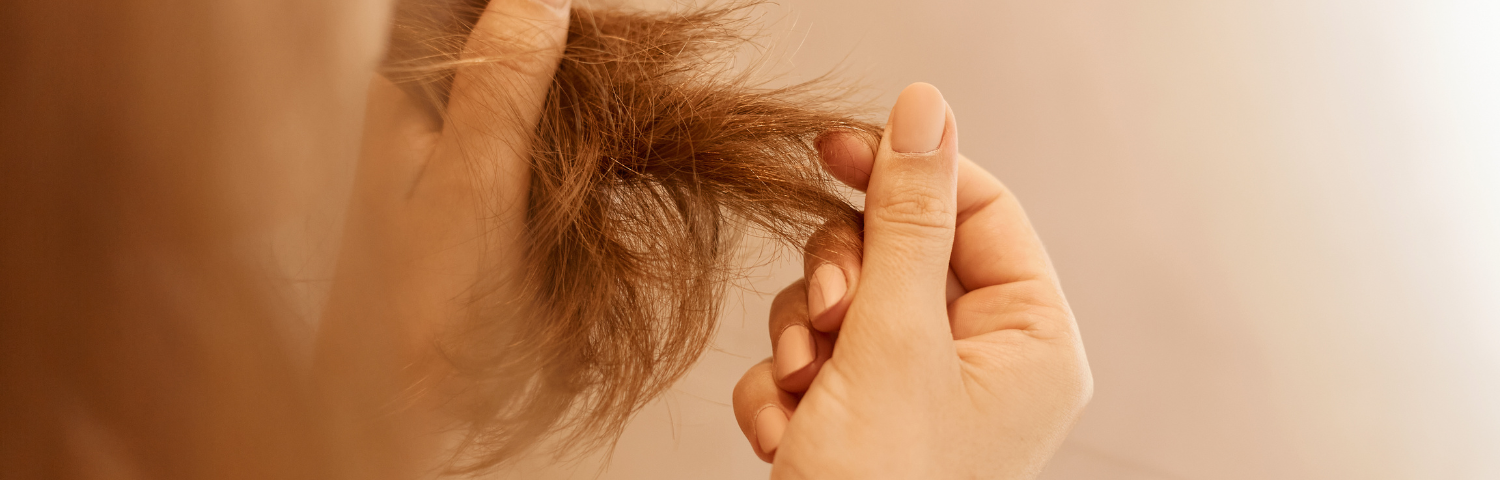 How to prevent hair loss