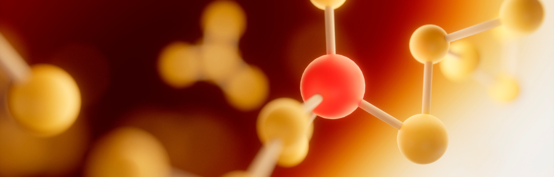 L-carnitine: what is it used for? What are its benefits? Does it have dangers or side effects?