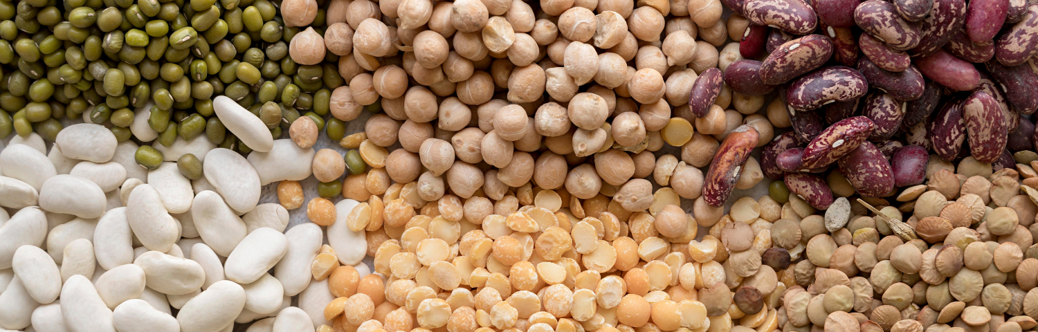 Everything You Did Not Know About the Properties and Benefits of Pulses