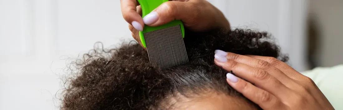 Myths and facts about what head lice are like, how they are spread and how to spot them