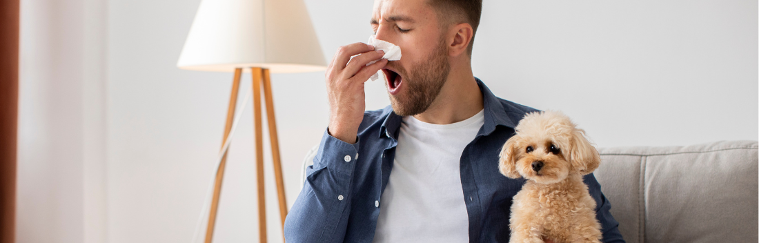 Allergy to dog and cat hair: symptoms and treatment