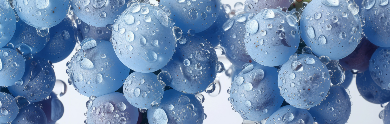 Benefits of Resveratrol for the Skin