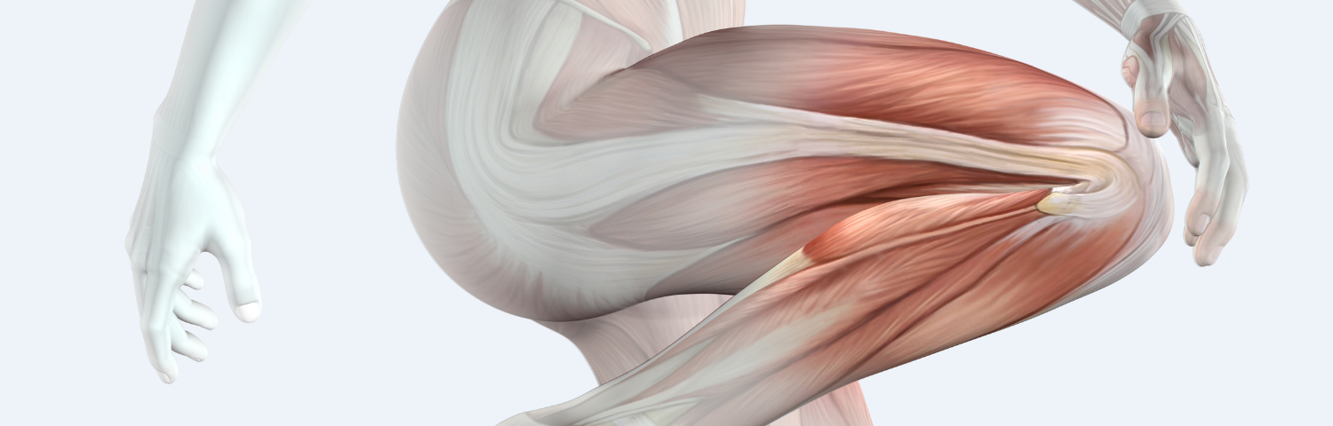 Vitamins for joint bone muscle and tendon pain