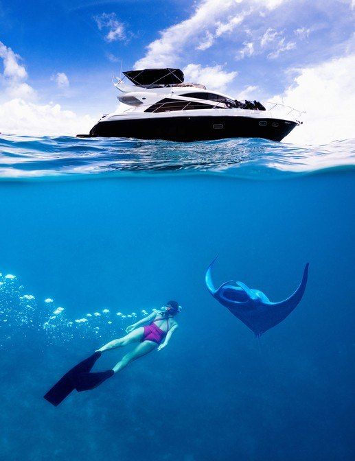 Snorkelling with manta rays