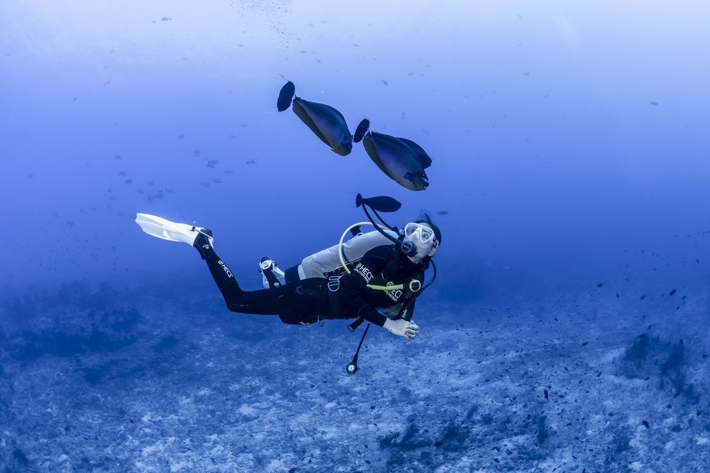Scuba diving in the Maldives 