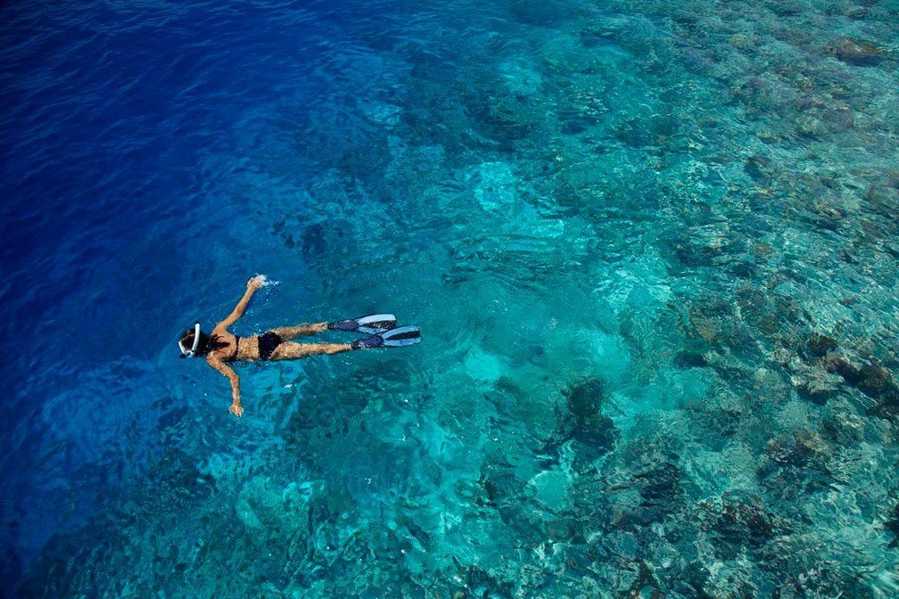 Snorkelling in the house reef