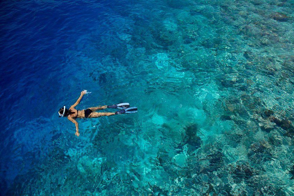 Snorkelling in the house reef
