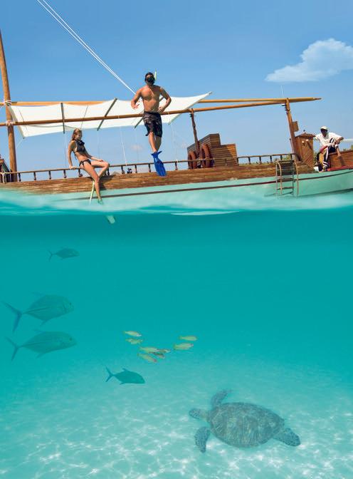 Snorkelling in the water
