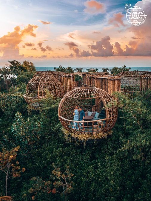 terra treetop dinner 