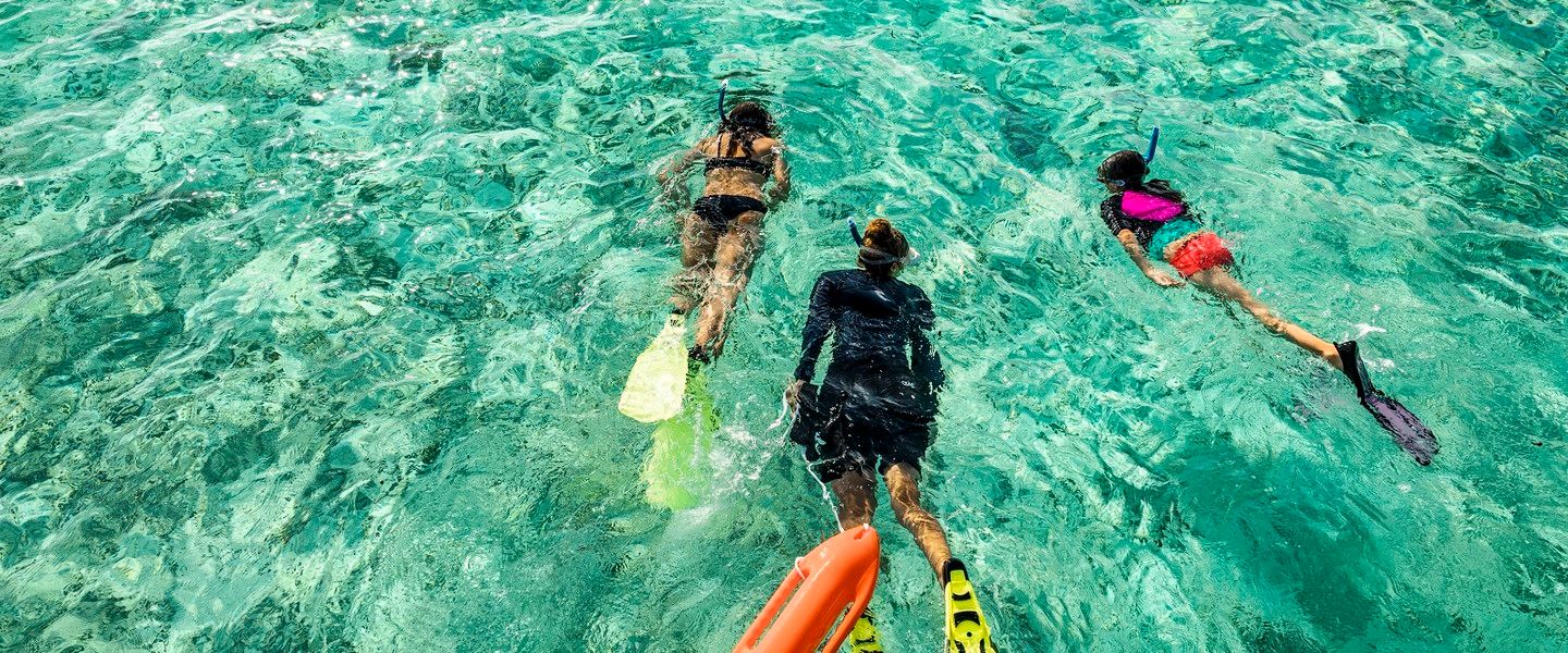 Snorkelling in the house reef