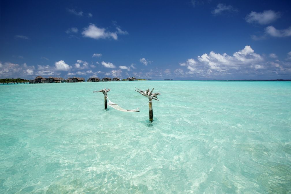 View of Water Hammock