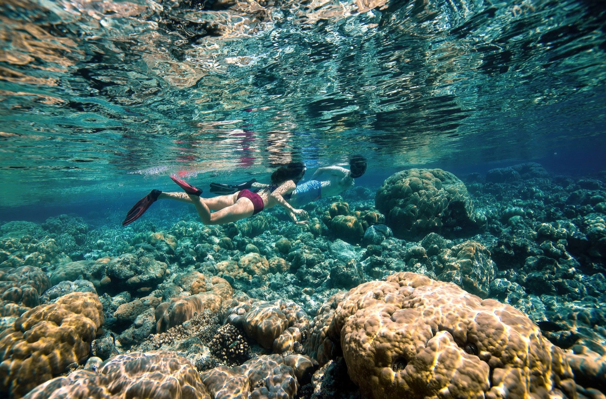 Snorkelling in the water
