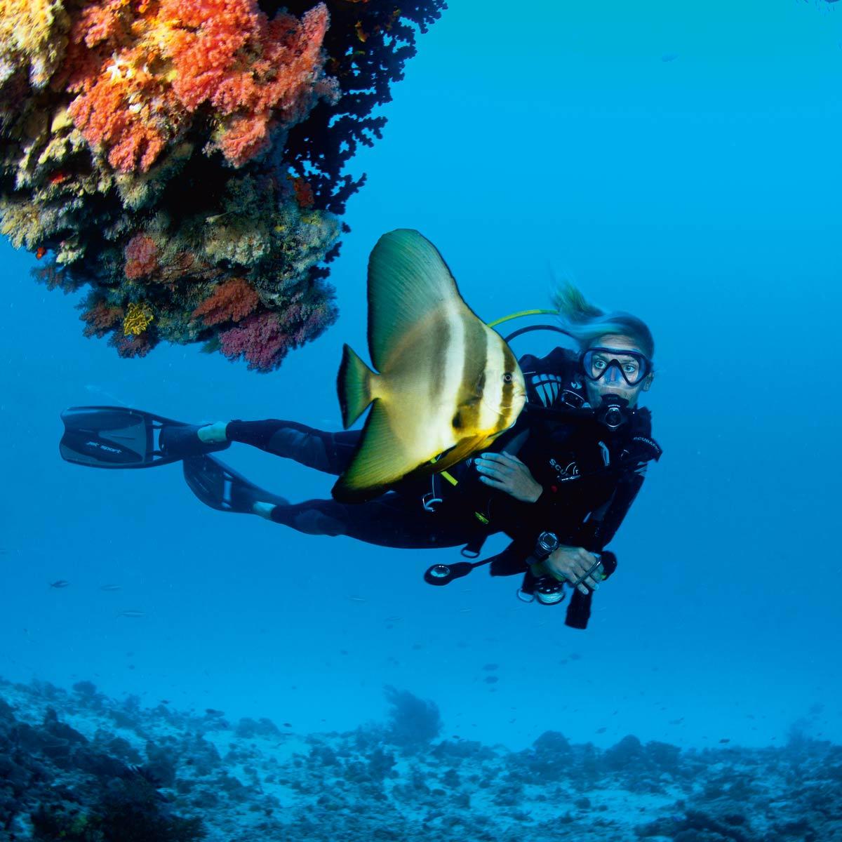 Scuba divind in the Maldives
