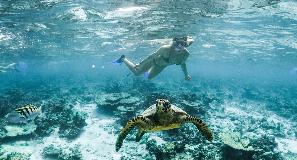 Snorkelling in the water