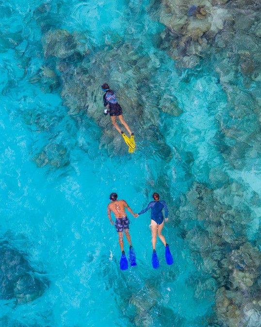 Snorkelling in the house reef