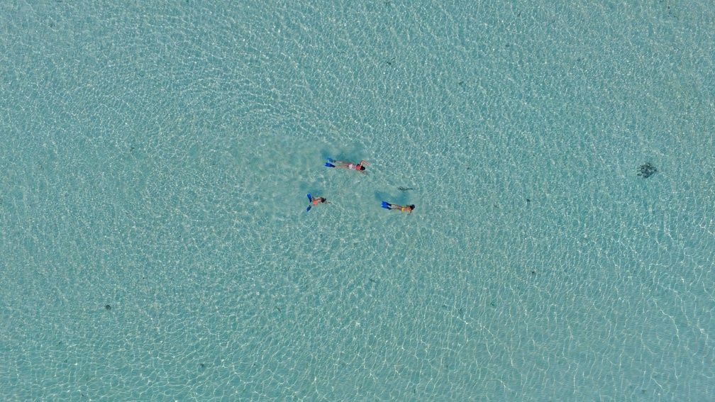 Snorkelling in the house reef