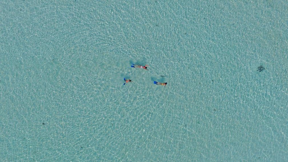 Snorkelling in the house reef